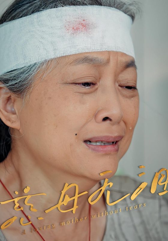 《慈母无泪》-VIP部落