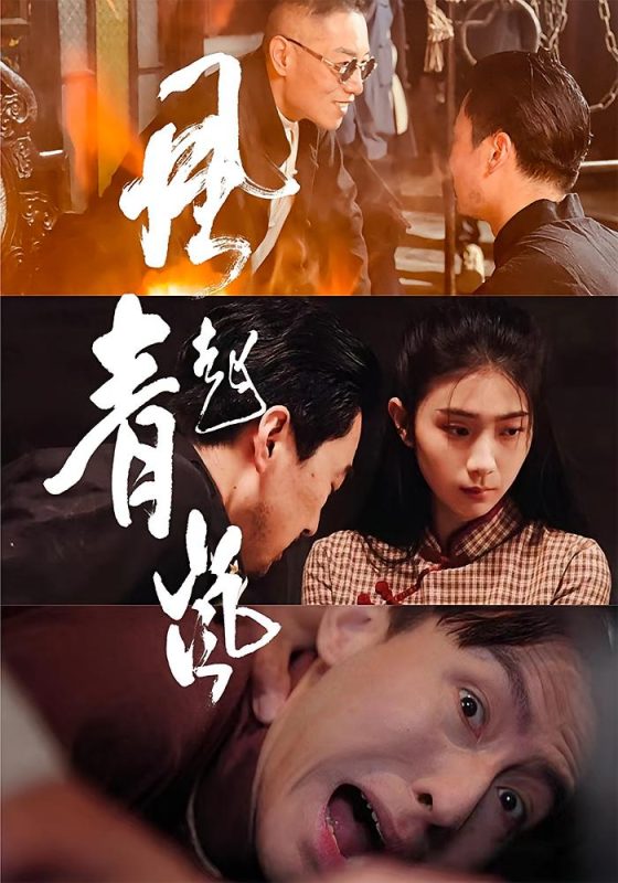 《风起青岚》-VIP部落