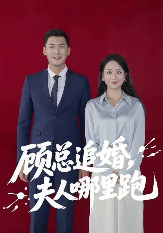 《顾总追婚夫人哪里跑》-VIP部落