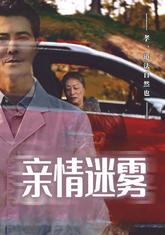 《亲情迷雾》-VIP部落
