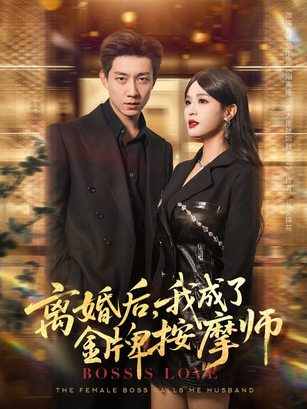 《离婚后我成了金牌按摩师》-VIP部落