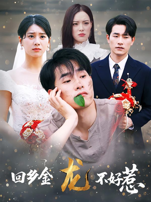 《回乡金龙不好惹》-VIP部落