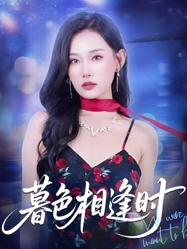 《暮色相逢时》-VIP部落