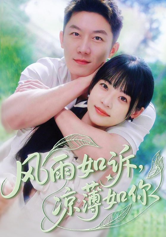 《风雨如诉凉薄如你》-VIP部落