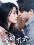 《情网引君》-VIP部落