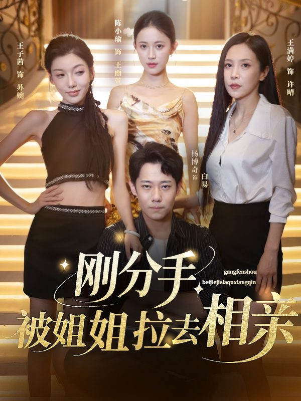 《刚分手被姐姐拉去相亲》-VIP部落