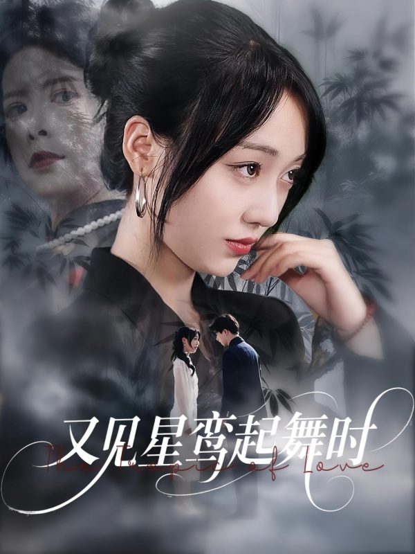 《又见星鸾起舞时》-VIP部落