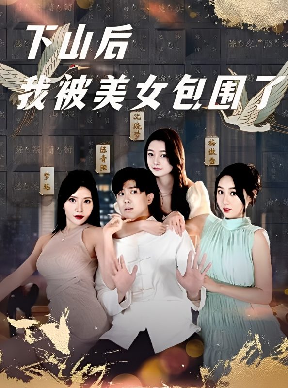 《下山后我被美女包围了》-VIP部落