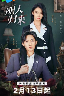 《丽人归来》-VIP部落