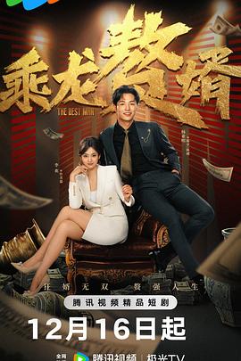 《乘龙赘婿》-VIP部落