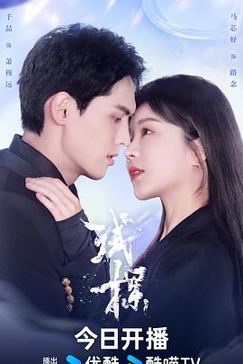 《试探2024》-VIP部落