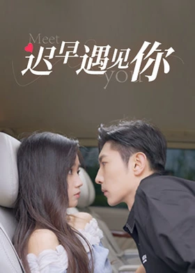《迟早遇见你》-VIP部落