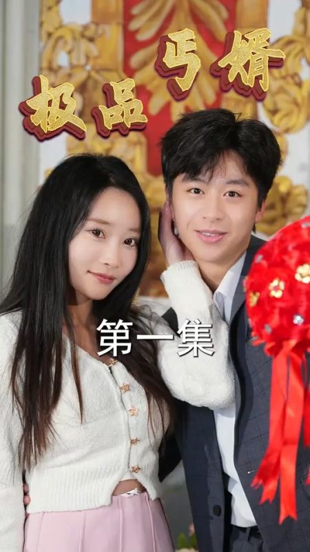 《极品丐婿》-VIP部落