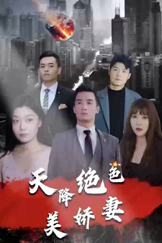 《天降绝色美娇妻》-VIP部落