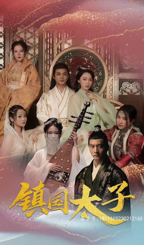 《镇国太子》-VIP部落
