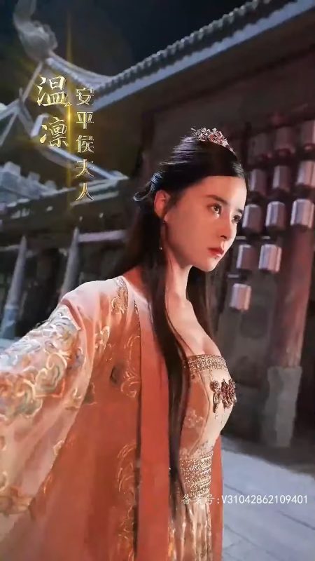 《将军你变霸总了》-VIP部落