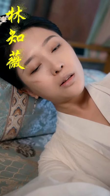 《皇后娘娘又双胎了》-VIP部落