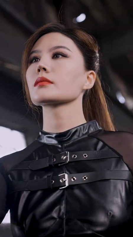 《隐龙出世》-VIP部落