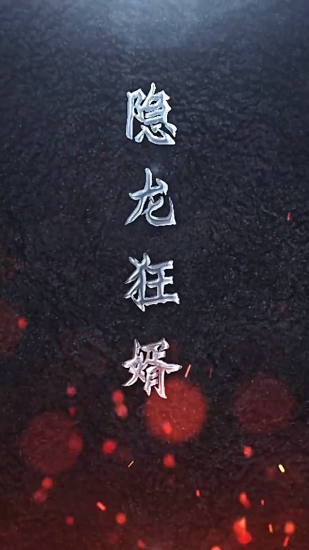 《隐龙狂婿》-VIP部落