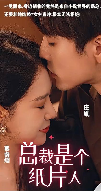 《总裁是个纸片人》-VIP部落