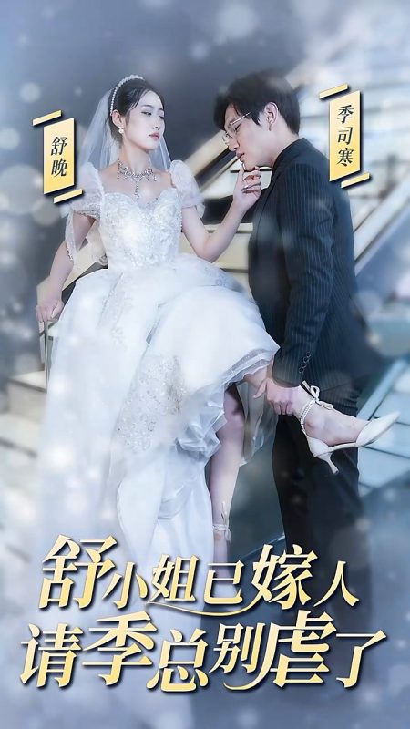 《舒小姐已嫁人，请季总别虐了》-VIP部落