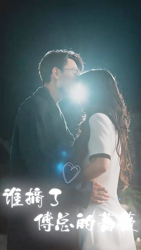 《谁摘了傅总的蔷薇》-VIP部落