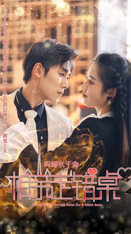 《闪婚女千金，相亲走错桌》-VIP部落