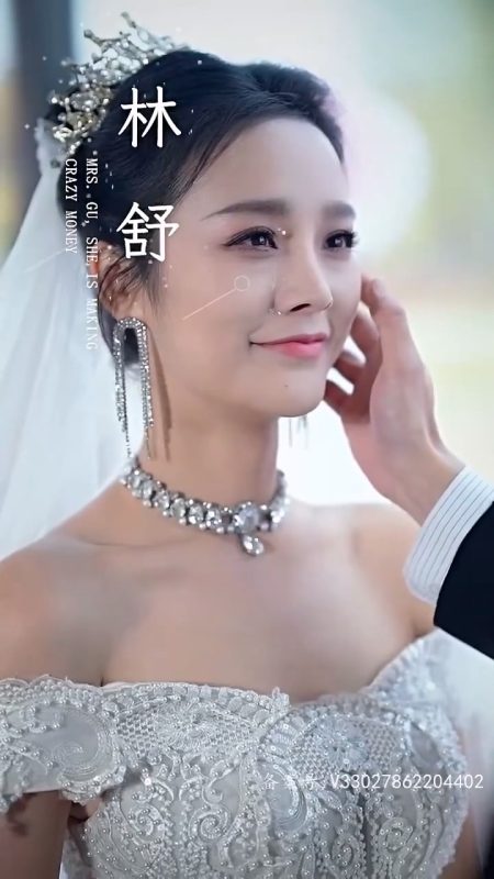 《顾总夫人她赚疯了》-VIP部落
