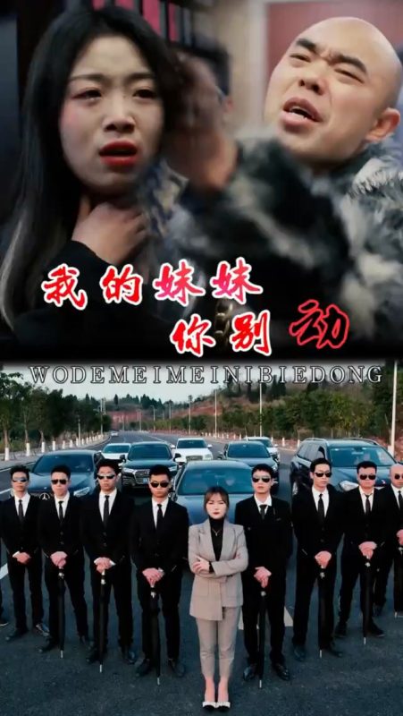 《我的妹妹你别动》-VIP部落