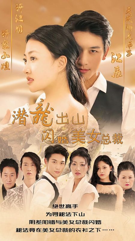 《潜龙出山，闪婚美女总裁》-VIP部落