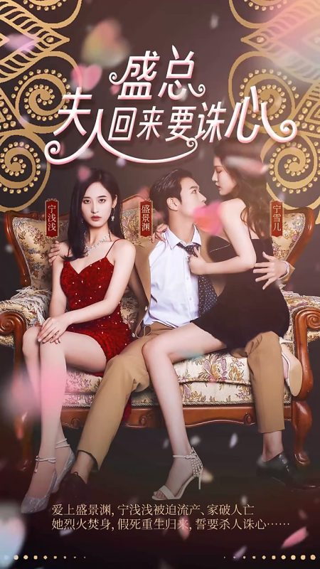 《盛总，夫人回来要诛心》-VIP部落