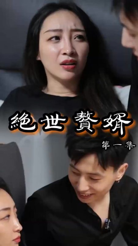 《绝世赘婿》-VIP部落