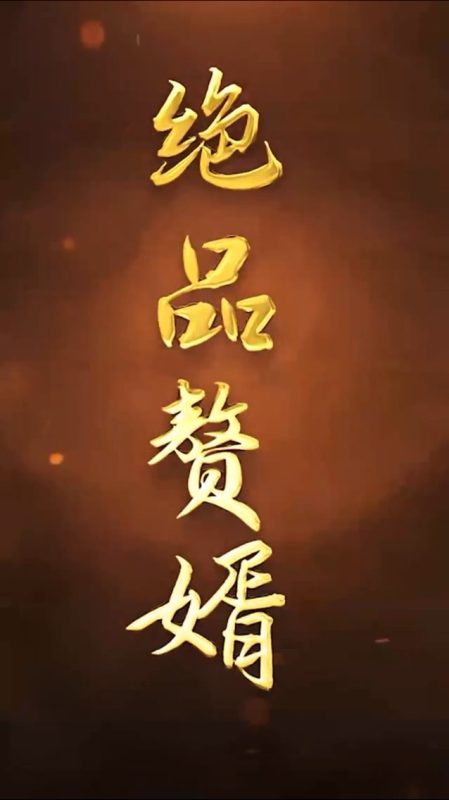 《绝品赘婿》-VIP部落