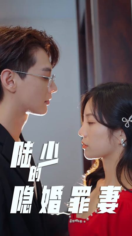 《陆少的隐婚罪妻》-VIP部落