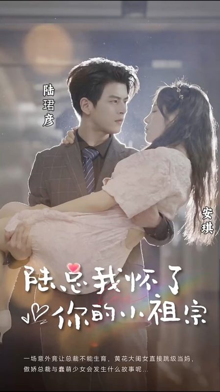 《陆总，我怀了你的小祖宗》-VIP部落