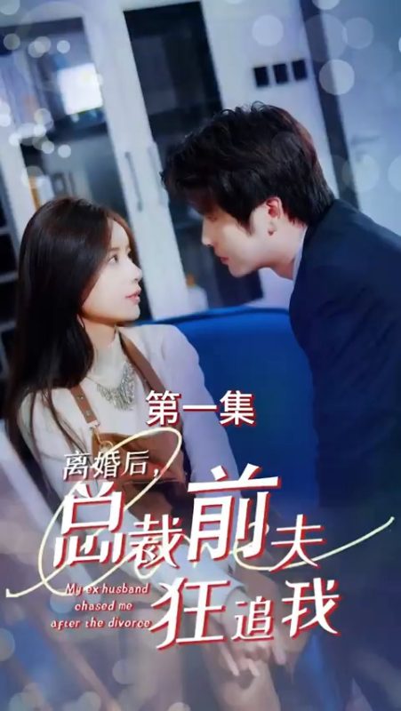 《离婚后，总裁前夫狂追我》-VIP部落