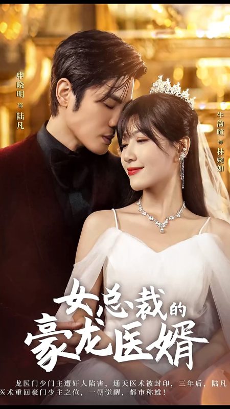 《女总裁的豪龙医婿》-VIP部落