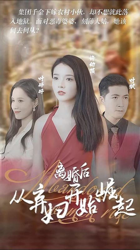 《离婚后，从弃妇开始崛起》-VIP部落