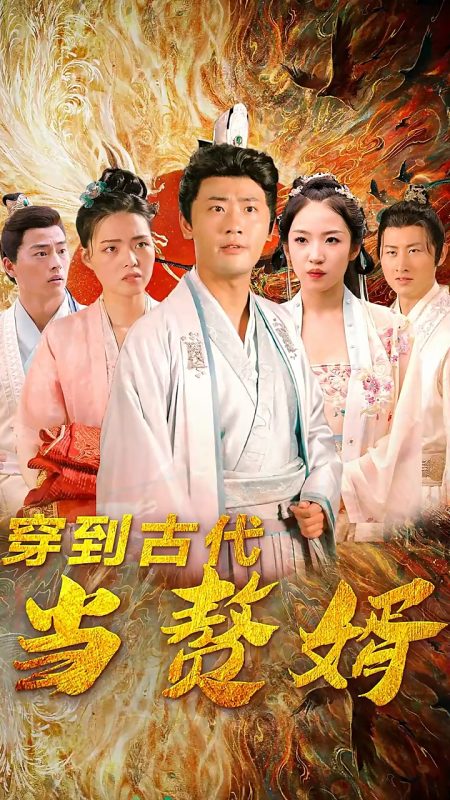 《穿到古代当赘婿》-VIP部落