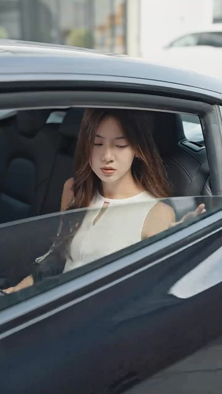 《别惹盛少的心尖宠》-VIP部落