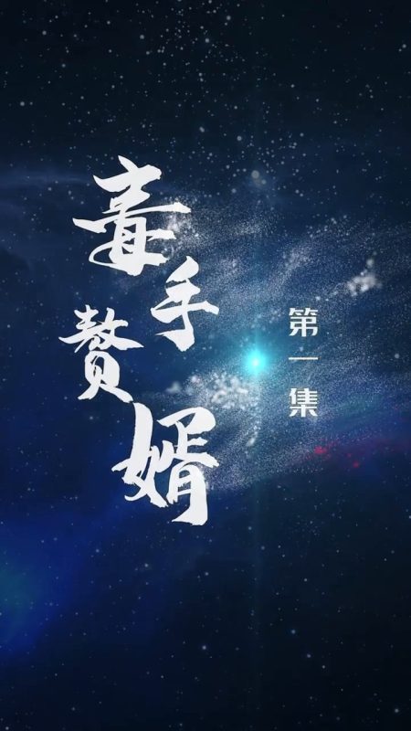 《毒手赘婿》-VIP部落