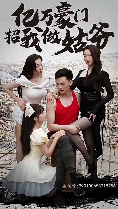 《亿万豪门招我做姑爷》-VIP部落