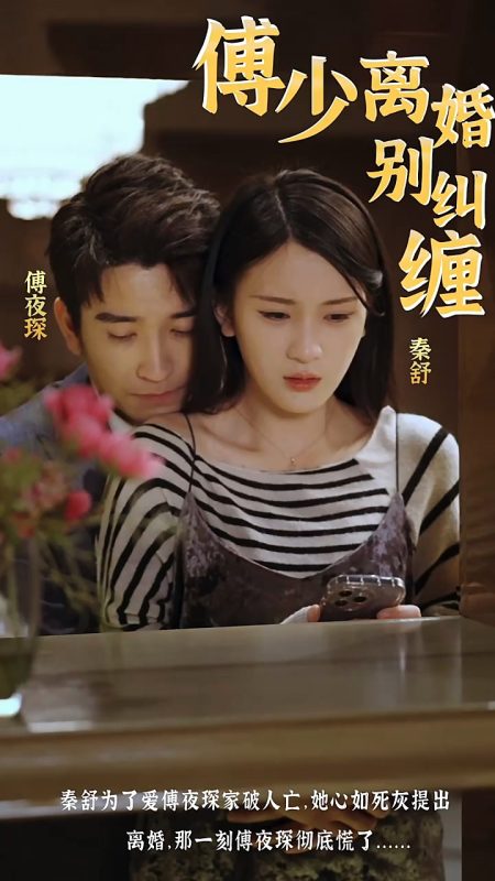 《傅少，离婚别纠缠》-VIP部落