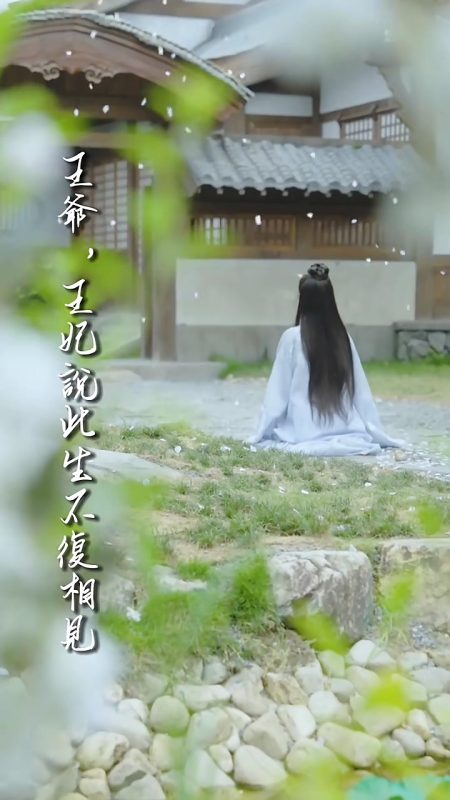 《王爷，王妃说此生不复相见》-VIP部落