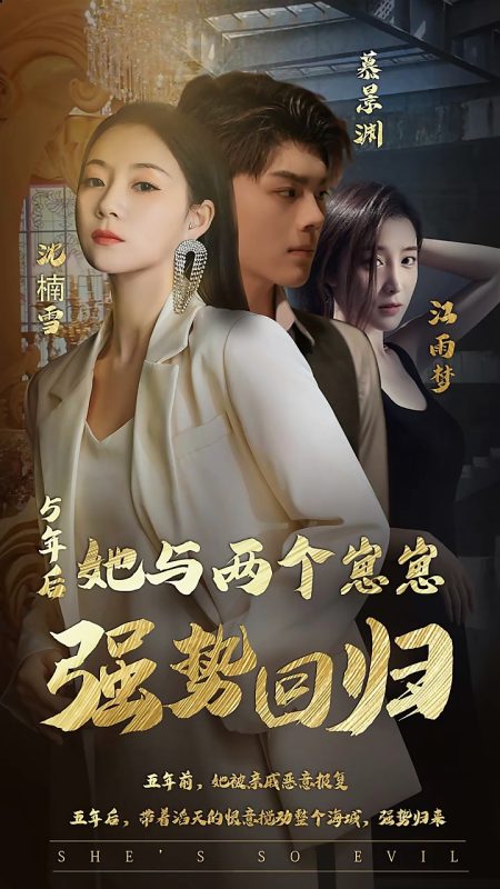 《五年后，她与两个崽崽强势回归》-VIP部落