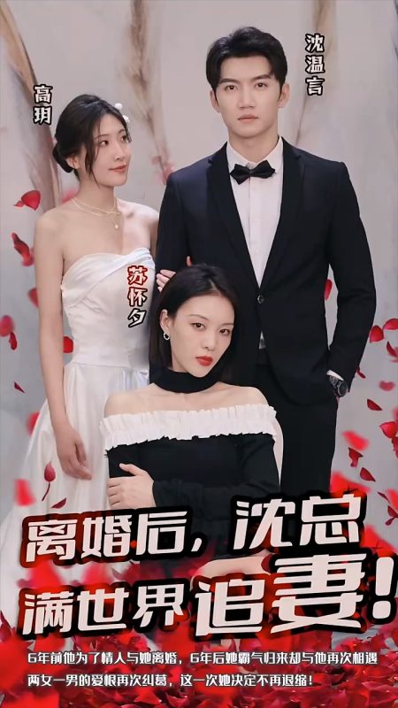 《离婚后，沈总满世界追妻》-VIP部落