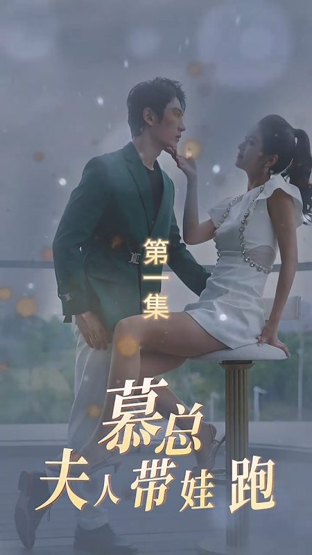《慕总夫人带娃跑》-VIP部落