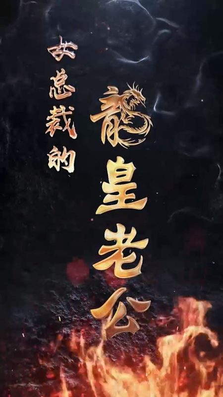 《女总裁的龙皇老公》-VIP部落