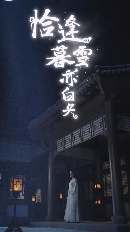 《恰逢暮雪亦白头》-VIP部落
