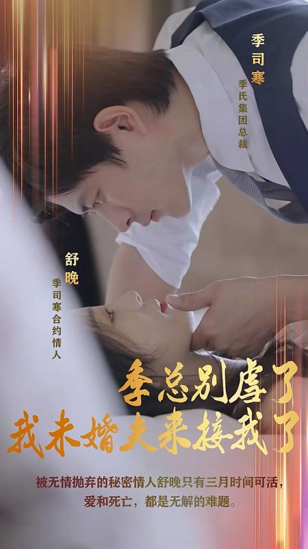 《季总别虐了，我未婚夫来接我了》-VIP部落